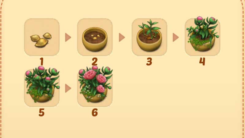 Peony-Seeds-Merge-Mansion-H2