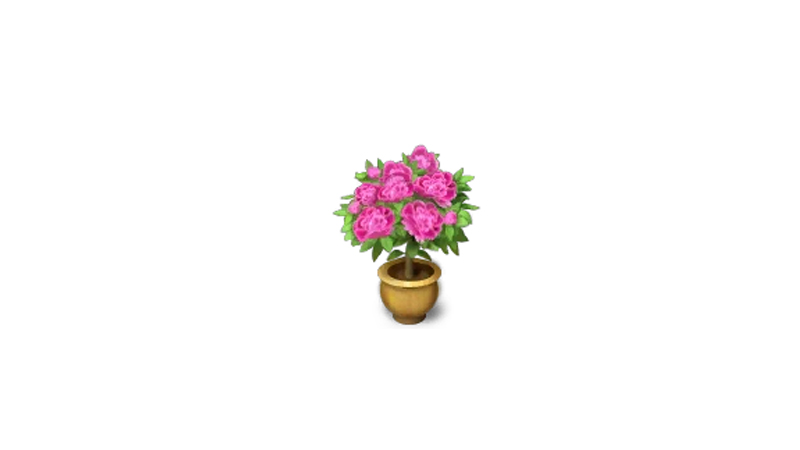 Planted Bush and Flower