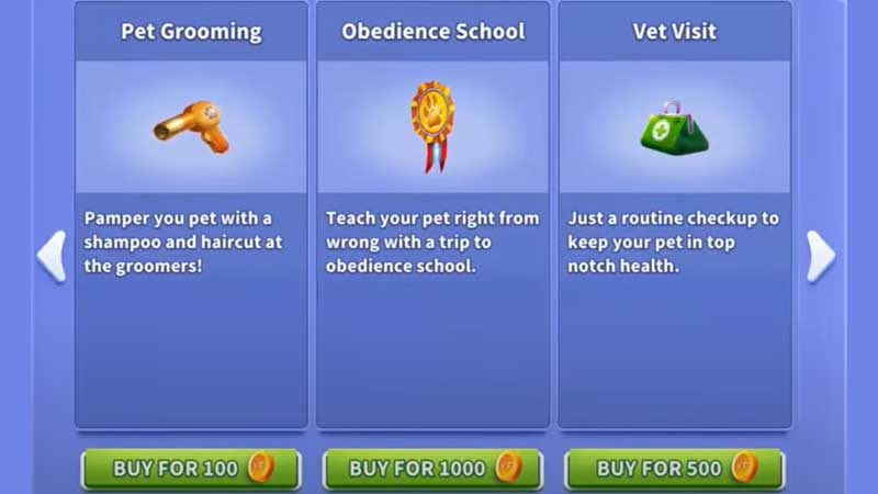 Virtual-Families-3-Train-Pets