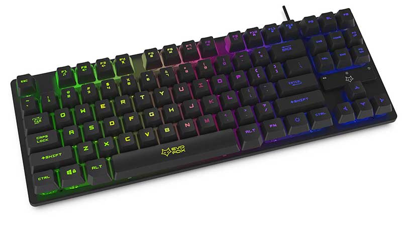 Gaming Keyboards 1000 India EvoFox Fireblade