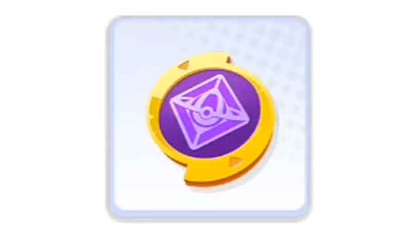 Beginner Support Box