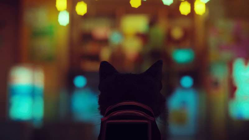 Stray 