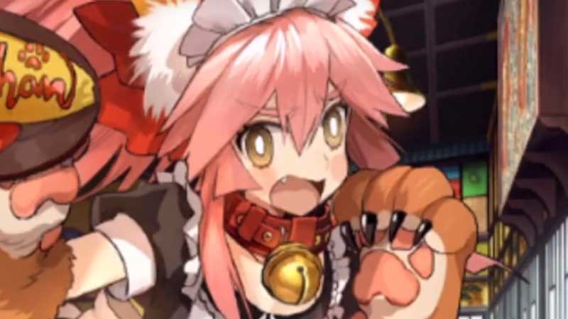 Nine Tamamos In FGO