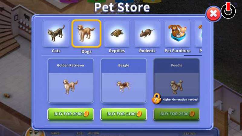 adopt a Pet