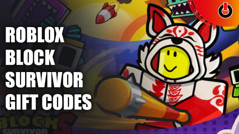 Block Survivor codes