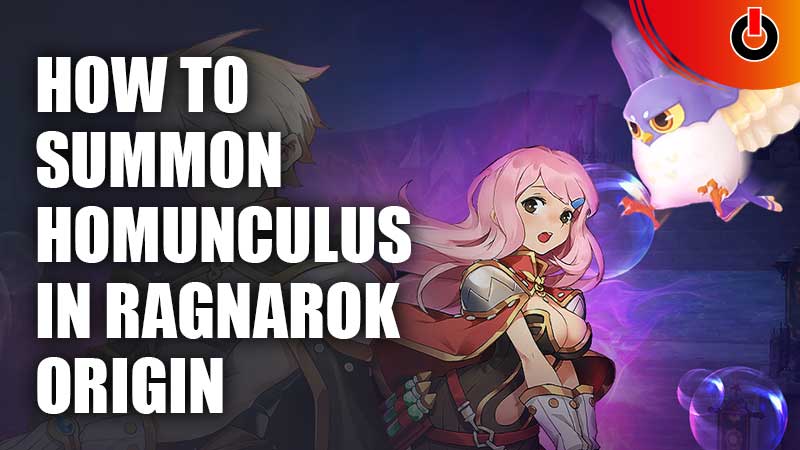 Summon Homunculus In Ragnarok Origin