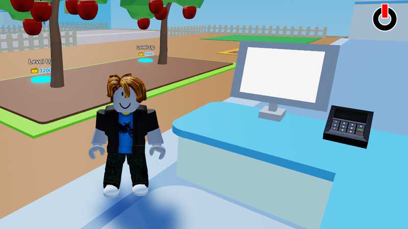 Roblox Mini Store