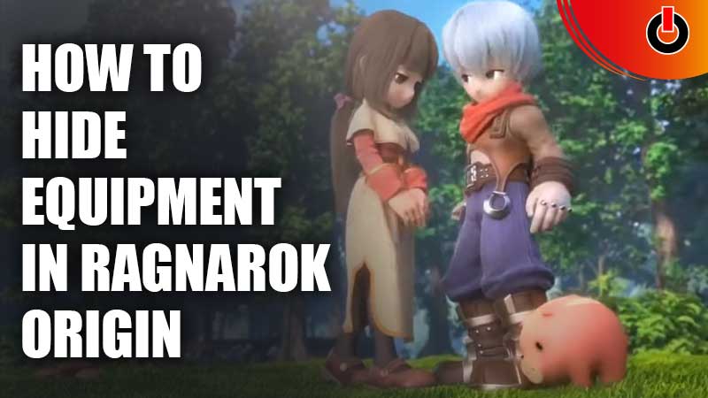 how to hide equipment in ragnarok origin