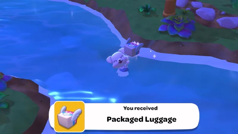 chococat's lost luggage location