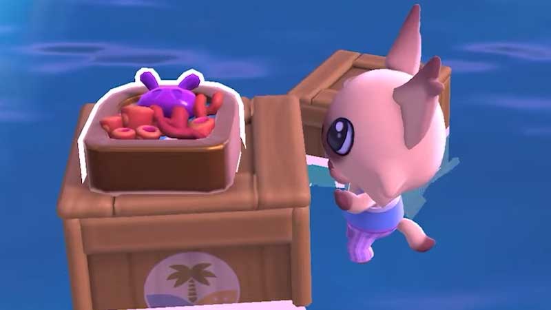 get reef critter list in hello kitty island adventure