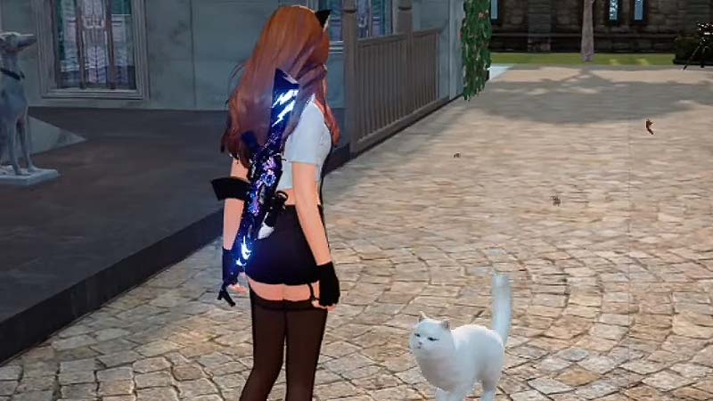 take pet cat outside undawn