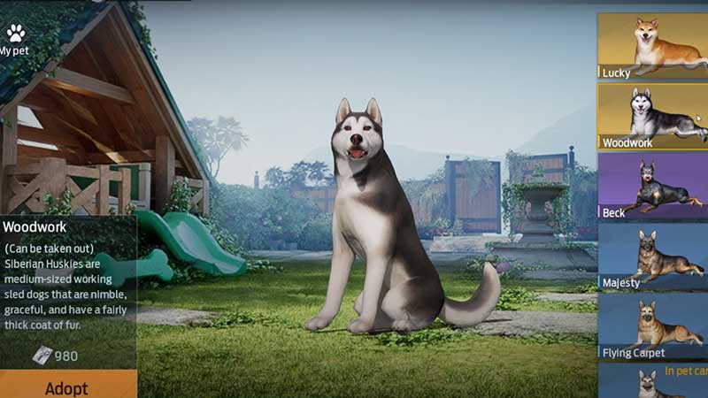 types of pet in undawn